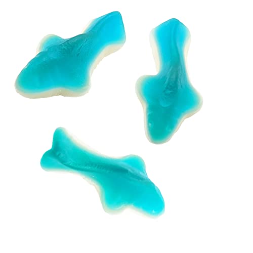 Blue Shark Gummi Candy, Fruit Flavored Gummies